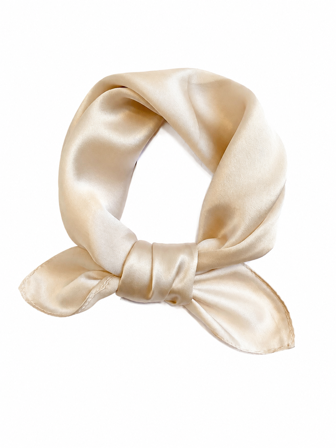 Petite 53 Mulberry Silk Scarf