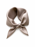 Petite 53 Mulberry Silk Scarf